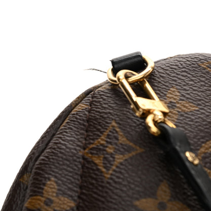Louis Vuitton Monogram Palm Springs Backpack Mini 11 of 13