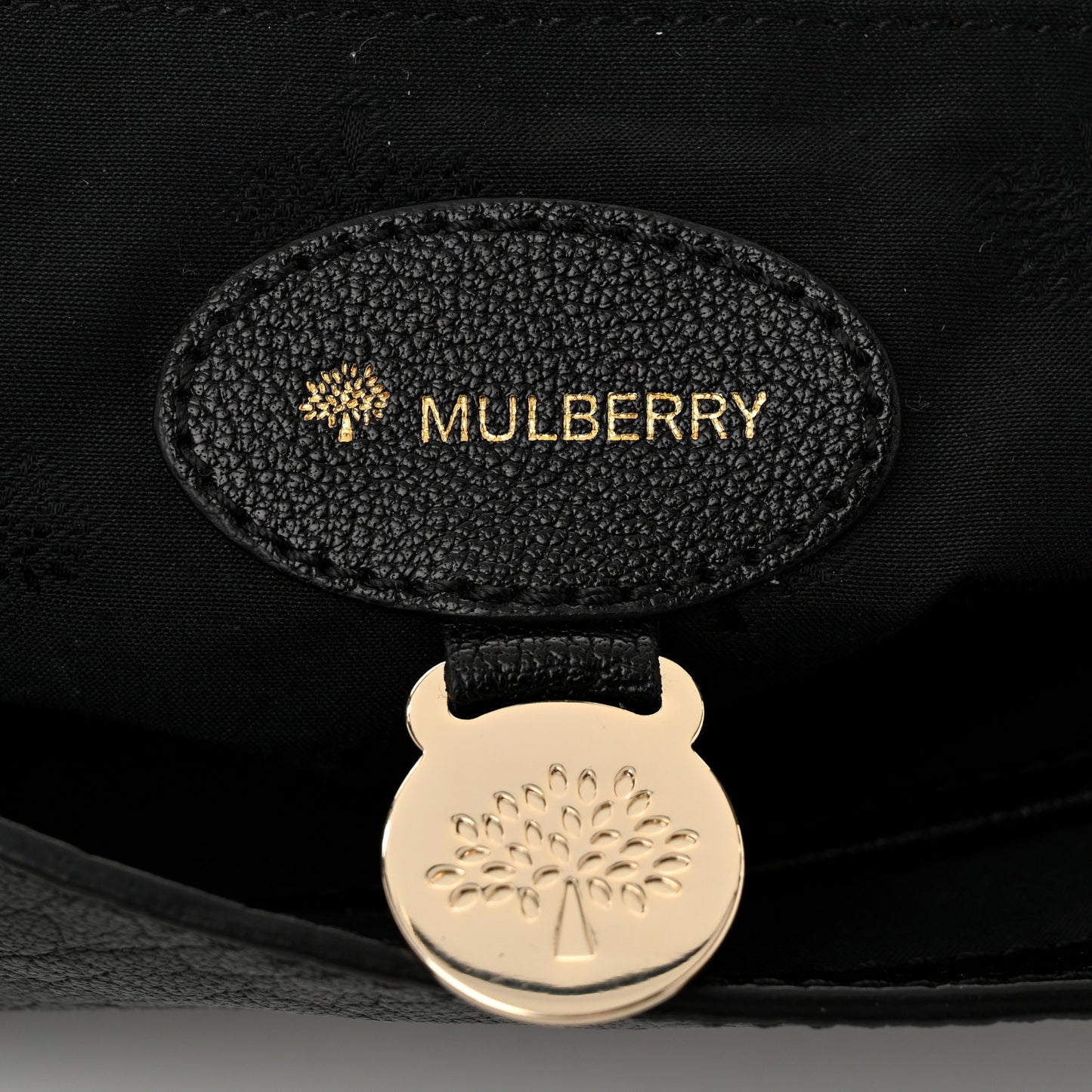 Shiny Buffalo Lily Black