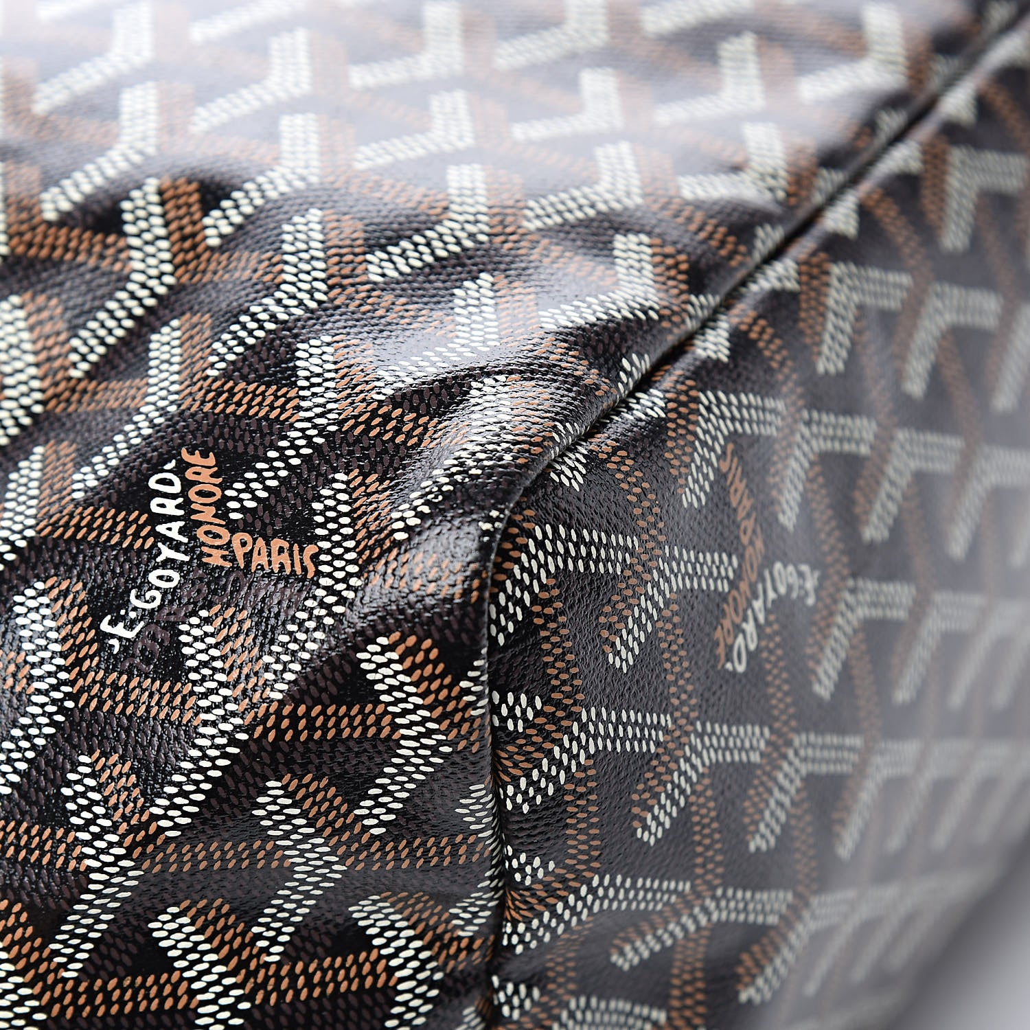 Goyard Goyardine Saint Louis PM Black 14 of 16