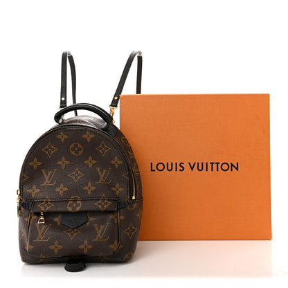 Louis Vuitton Monogram Palm Springs Backpack Mini 15 of 15