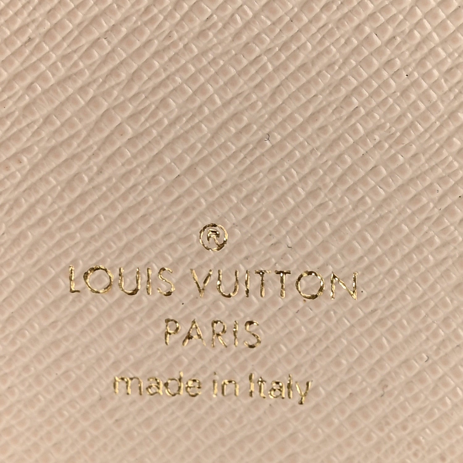 Louis Vuitton Monogram Giant By The Pool Victorine Wallet Brume 6 of 7