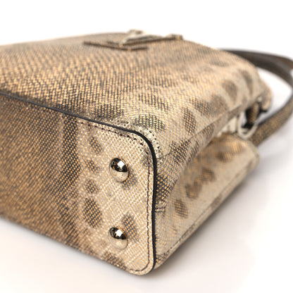 Louis Vuitton Metallic Lizard Capucines Mini Gold 8 of 8