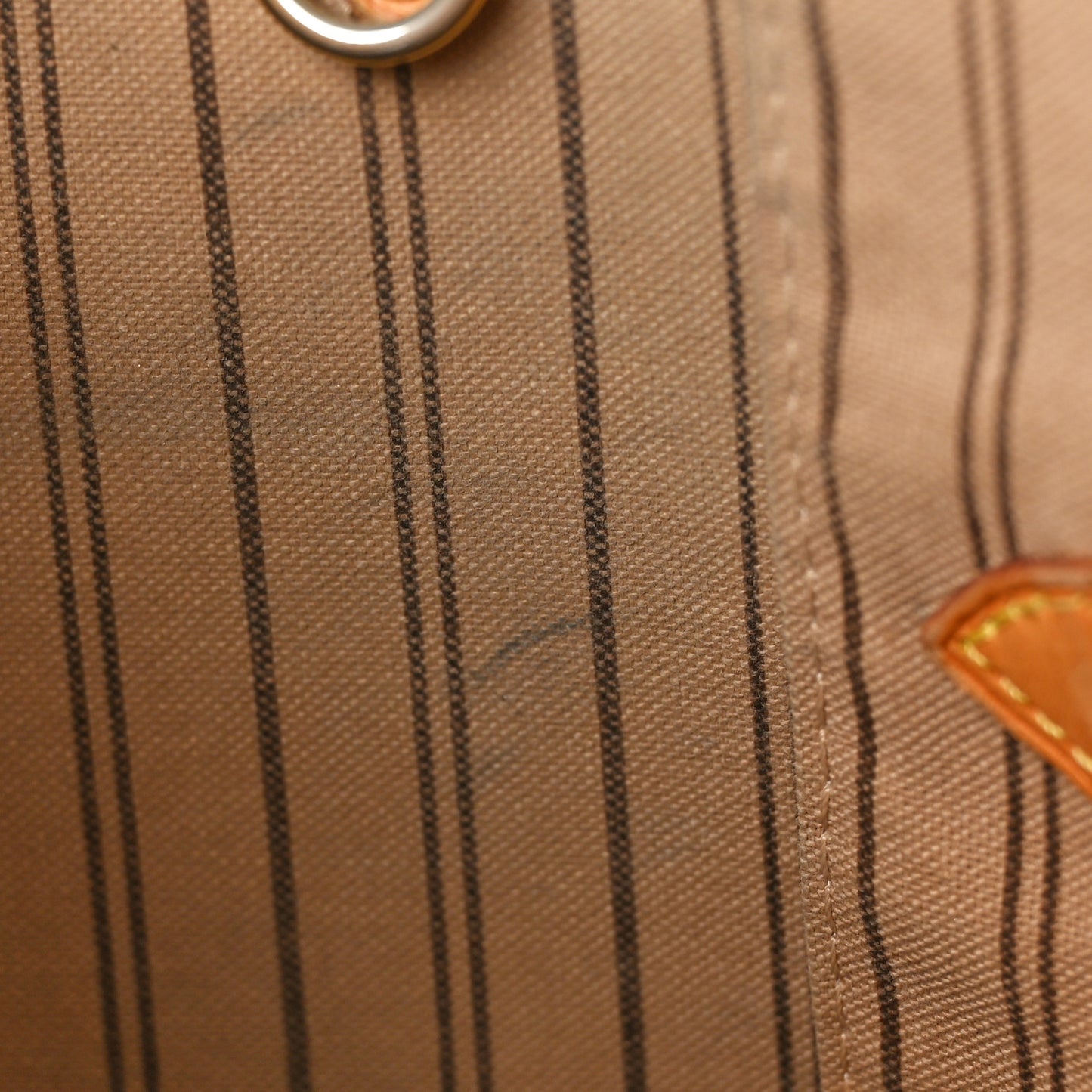 Monogram Neo Neverfull MM