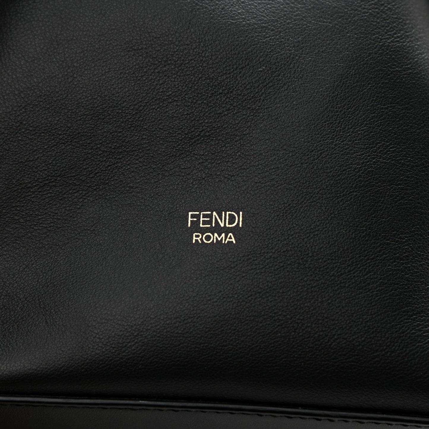 Vitello Grace Matte F is Fendi Grande Mon Tresor Bucket Bag Black