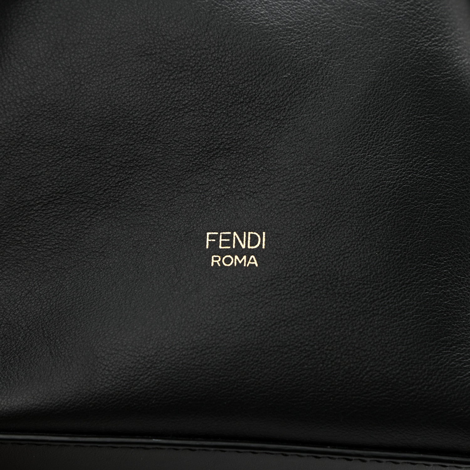 Fendi Vitello Grace Matte F is Fendi Grande Mon Tresor Bucket Bag Black 9 of 11