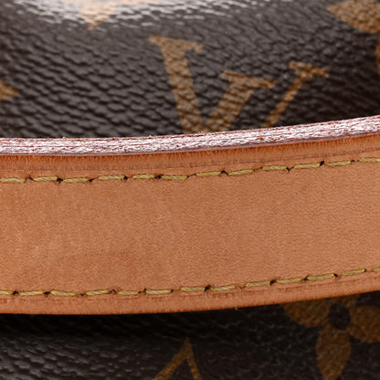 Louis Vuitton Monogram Noe 13 of 13