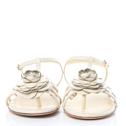 Chanel Calfskin Camellia Thong Sandals 36 Light Beige 2 of 8