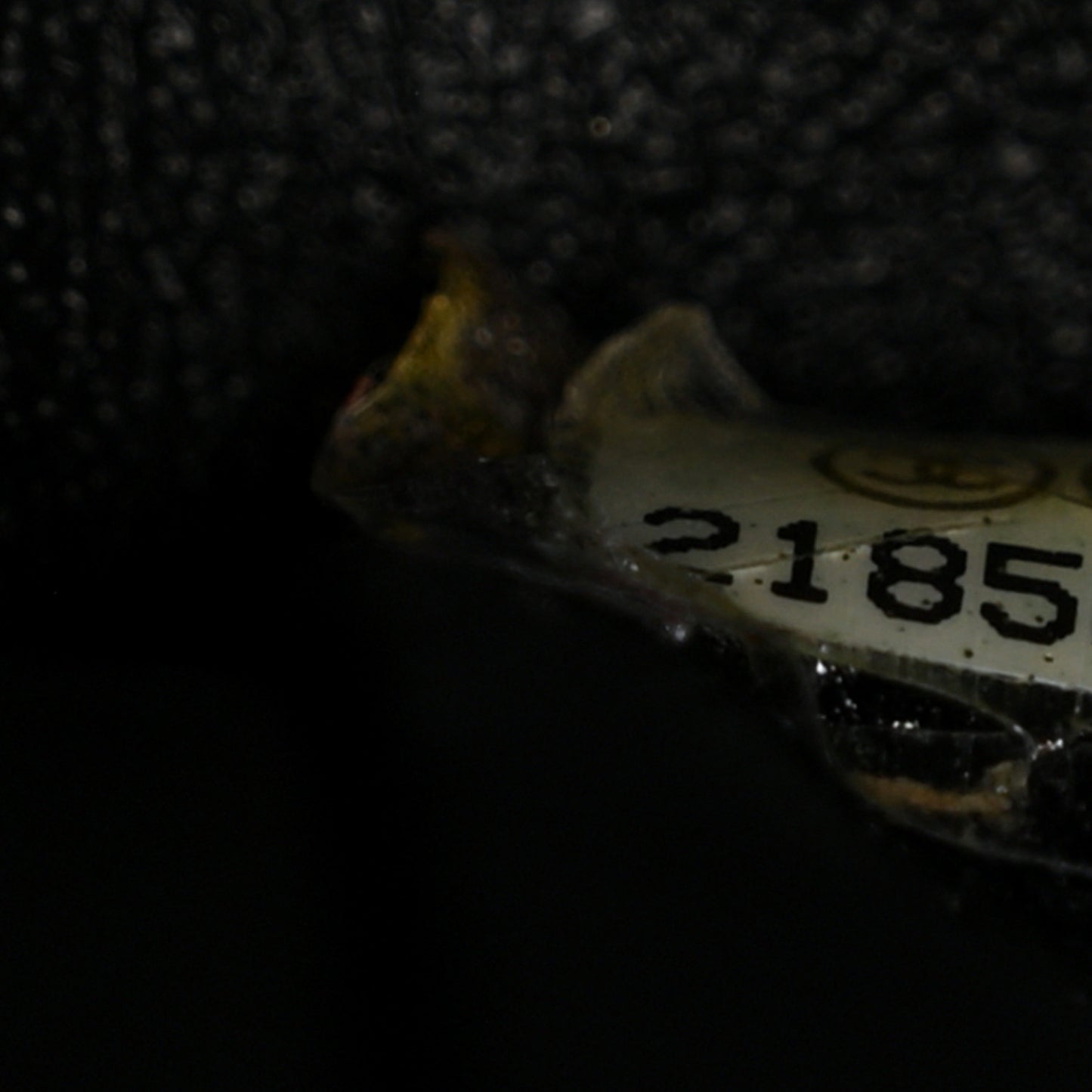 Patent Quilted Jumbo Double Flap Black