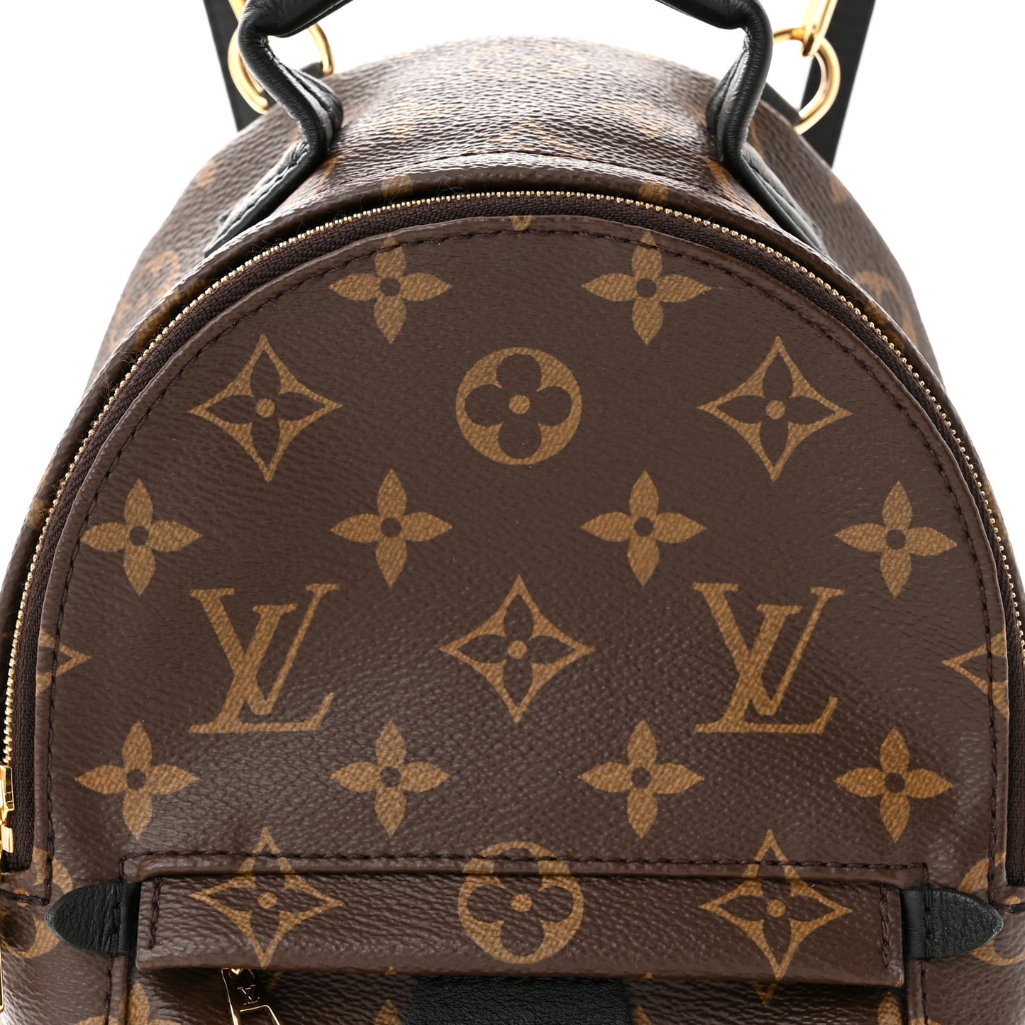 Monogram Palm Springs Backpack Mini
