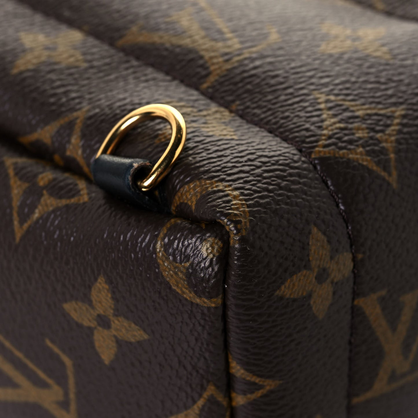 Monogram Palm Springs Backpack Mini