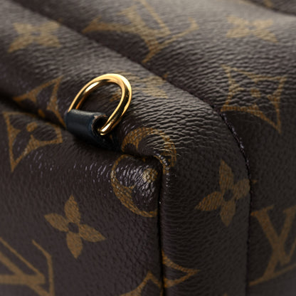 Louis Vuitton Monogram Palm Springs Backpack Mini 11 of 13