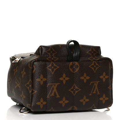 Louis Vuitton Monogram Palm Springs Backpack Mini 4 of 11
