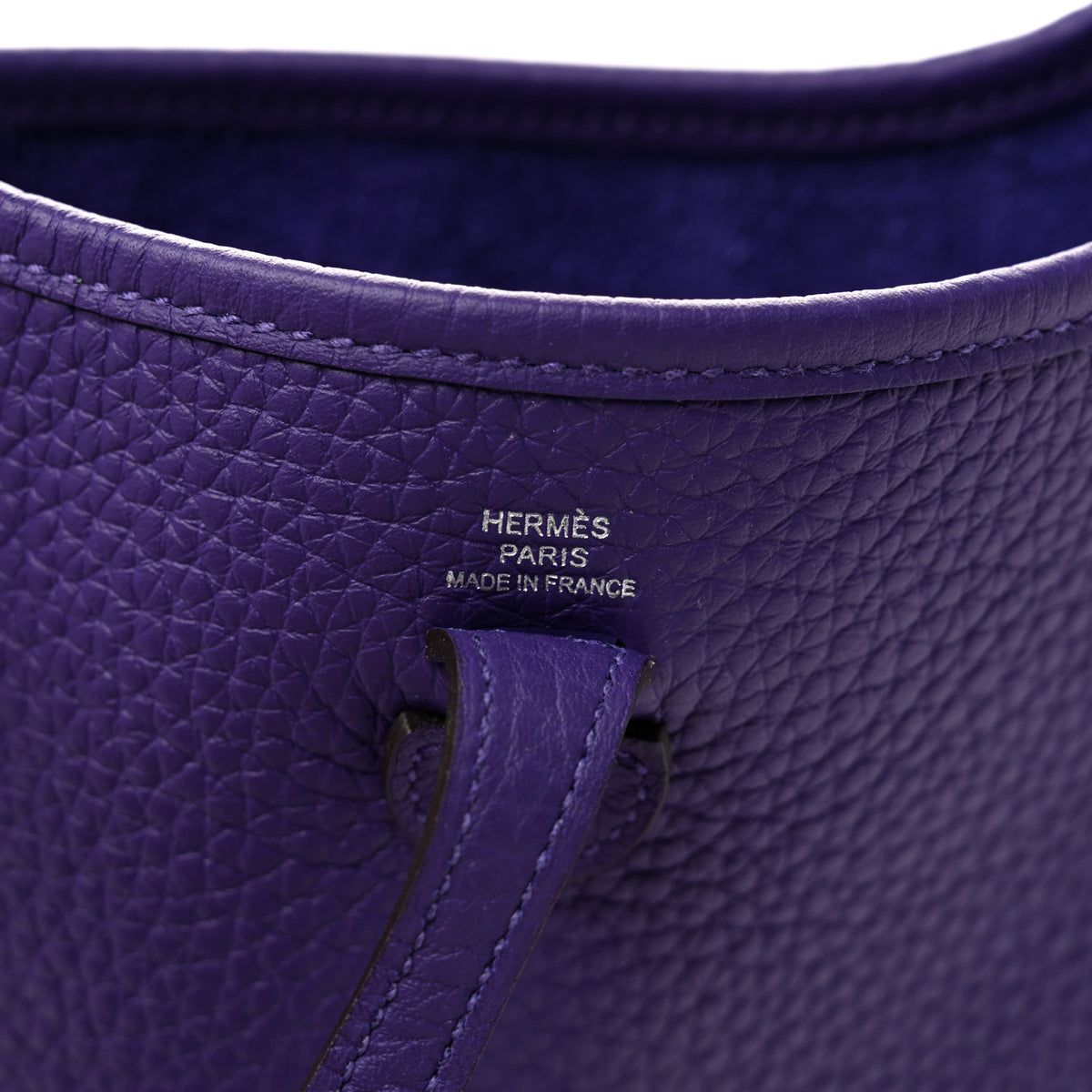 Taurillon Clemence Evelyne TPM Purple
