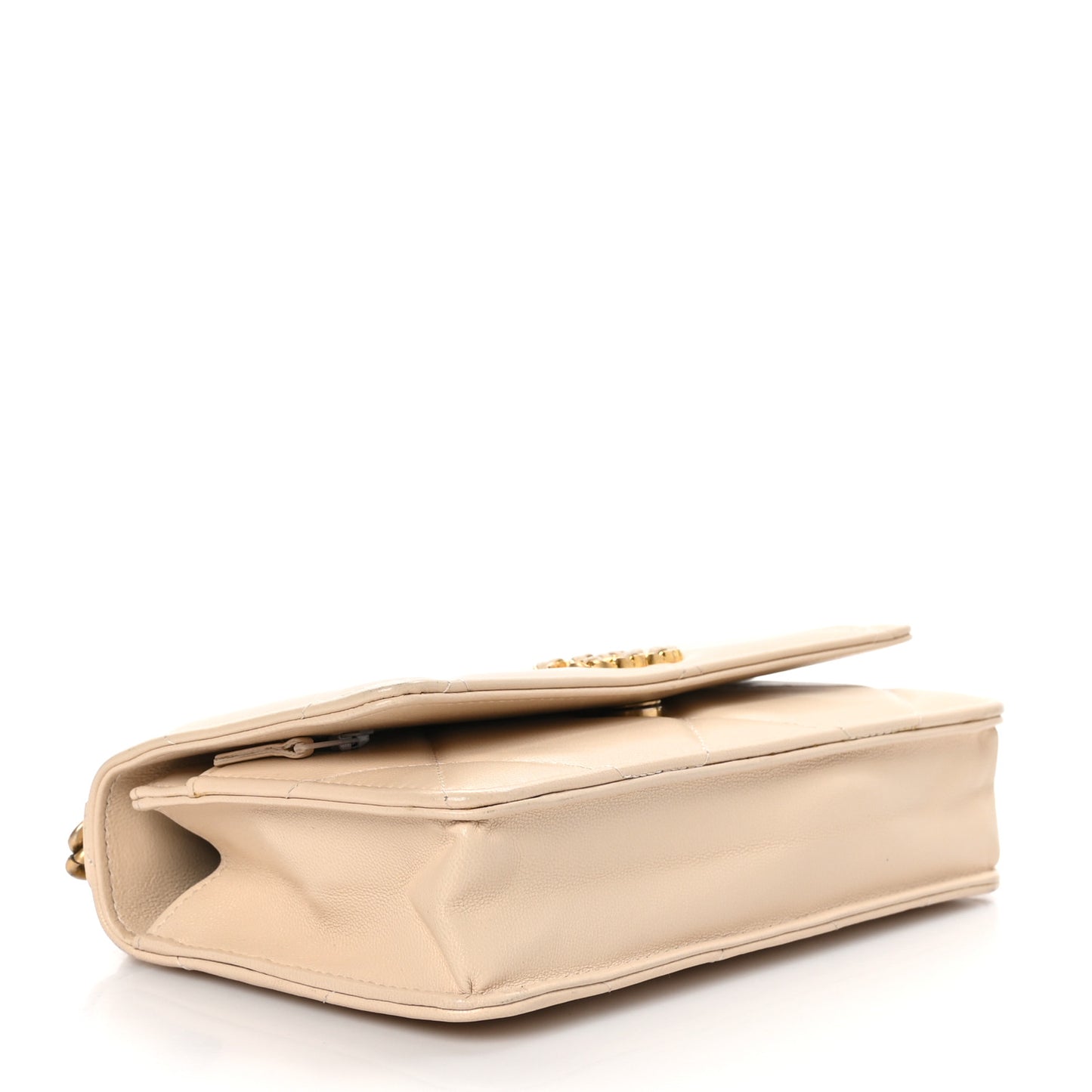 Goatskin Quilted Chanel 19 Wallet On Chain WOC Beige