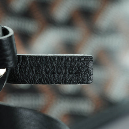 Goyard Goyardine Saint Louis PM Black 7 of 9