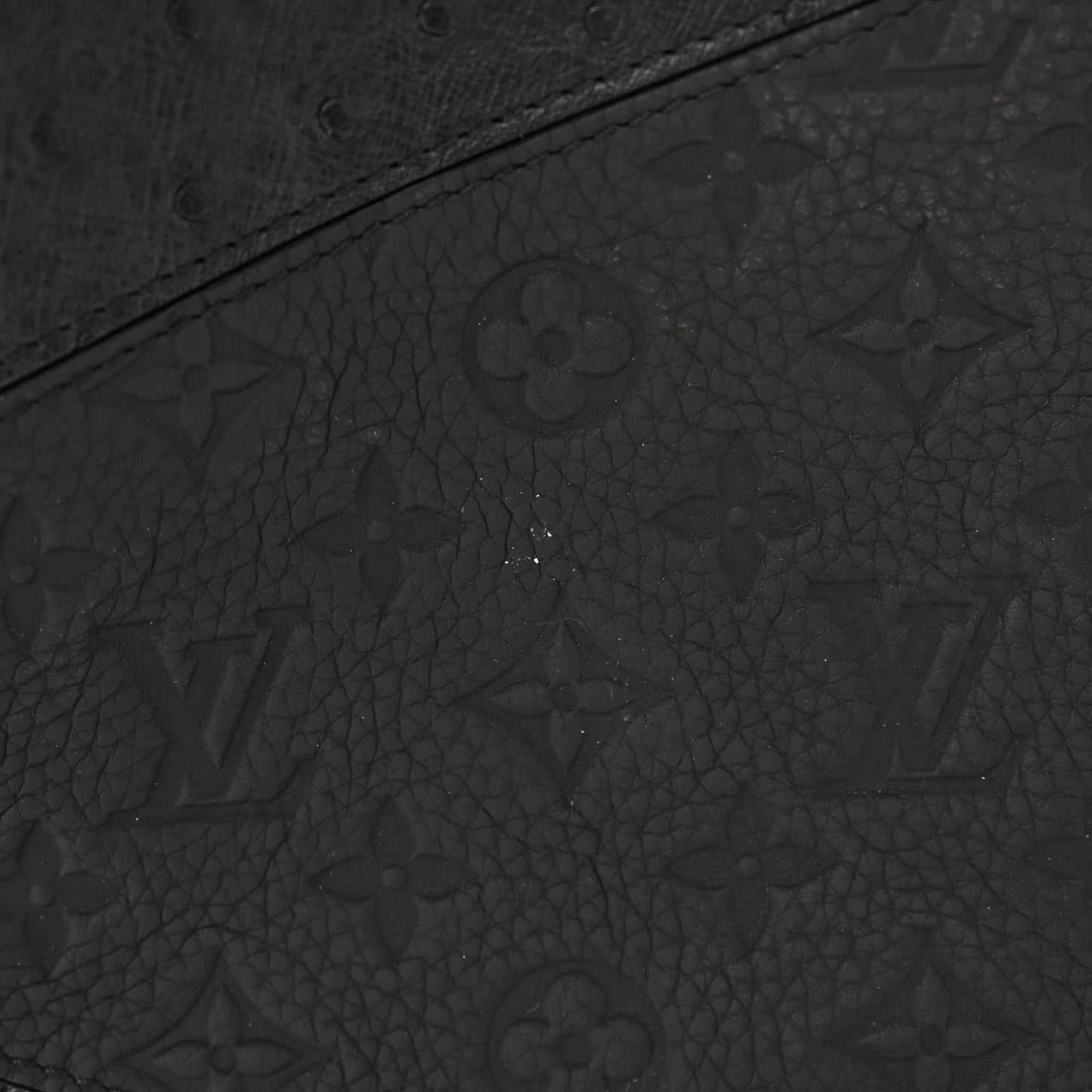 Ostrich Crocodile Empreinte Monogram Grand Sac