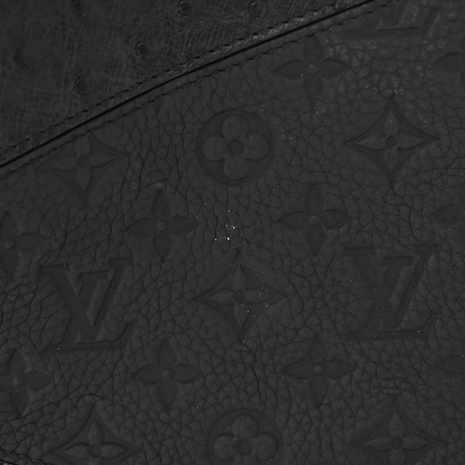 Louis Vuitton Ostrich Crocodile Empreinte Monogram Grand Sac 13 of 14