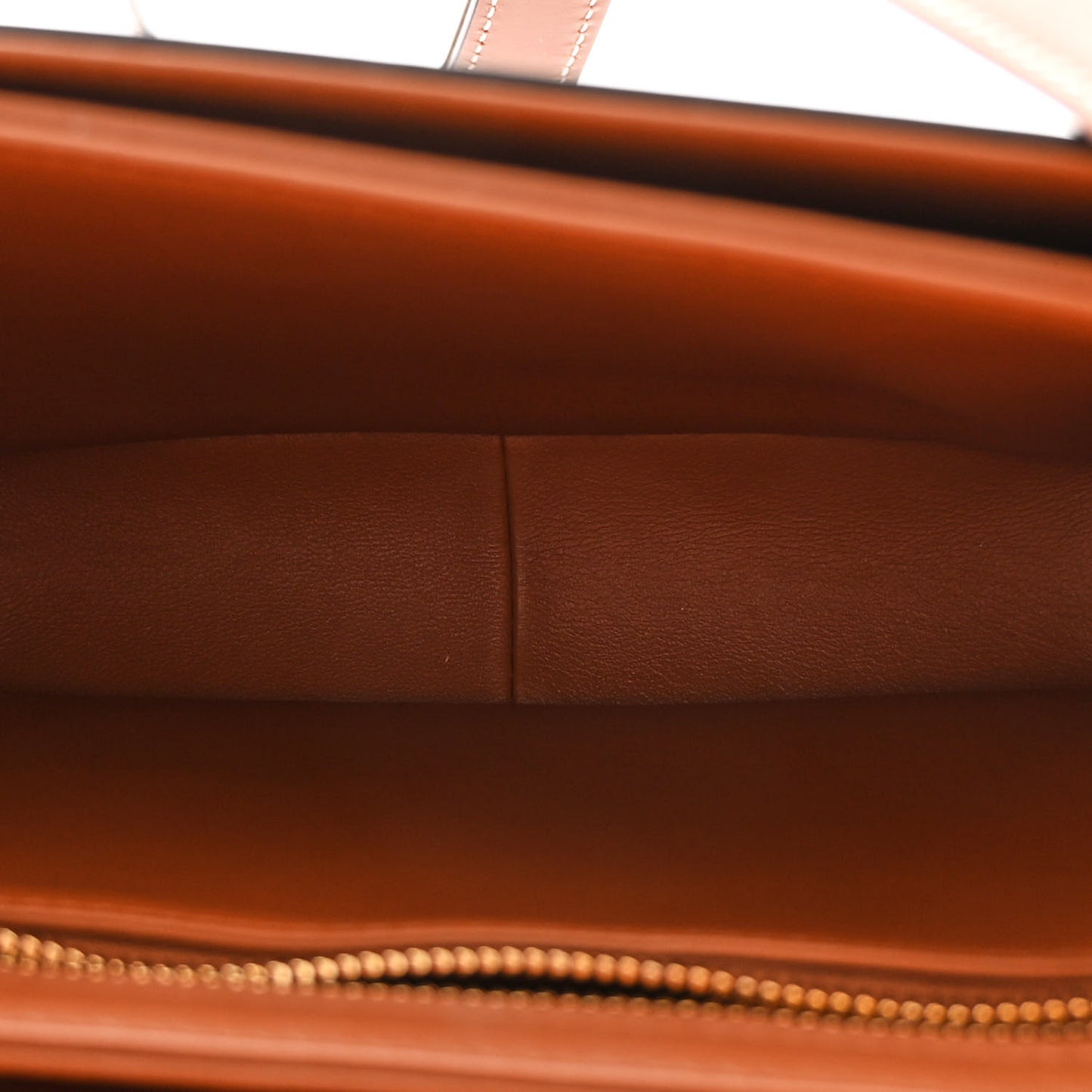 Calfskin Triomphe Canvas Teen Triomphe Bag Tan