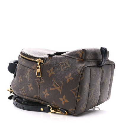Louis Vuitton Monogram Palm Springs Backpack Mini 5 of 11