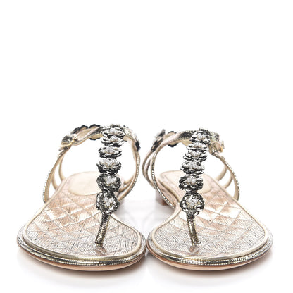 Chanel Fantasy Goatskin Pearl Camellia Thong Sandals 36 Gold 2 of 7