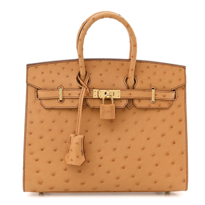 Hermes Ostrich Birkin Sellier 25 Gold 1 of 10