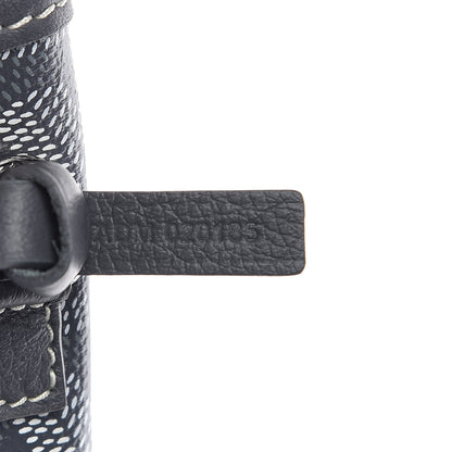 Goyard Goyardine Saint Louis PM Grey 8 of 11