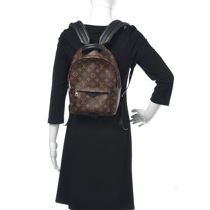 Louis Vuitton Monogram Palm Springs Backpack PM 2 of 10