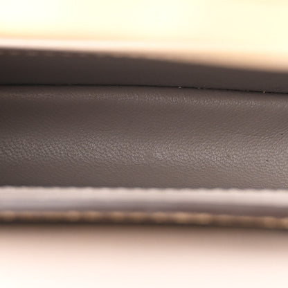Louis Vuitton Lizard Ombre Capucines Mini Natural 6 of 11