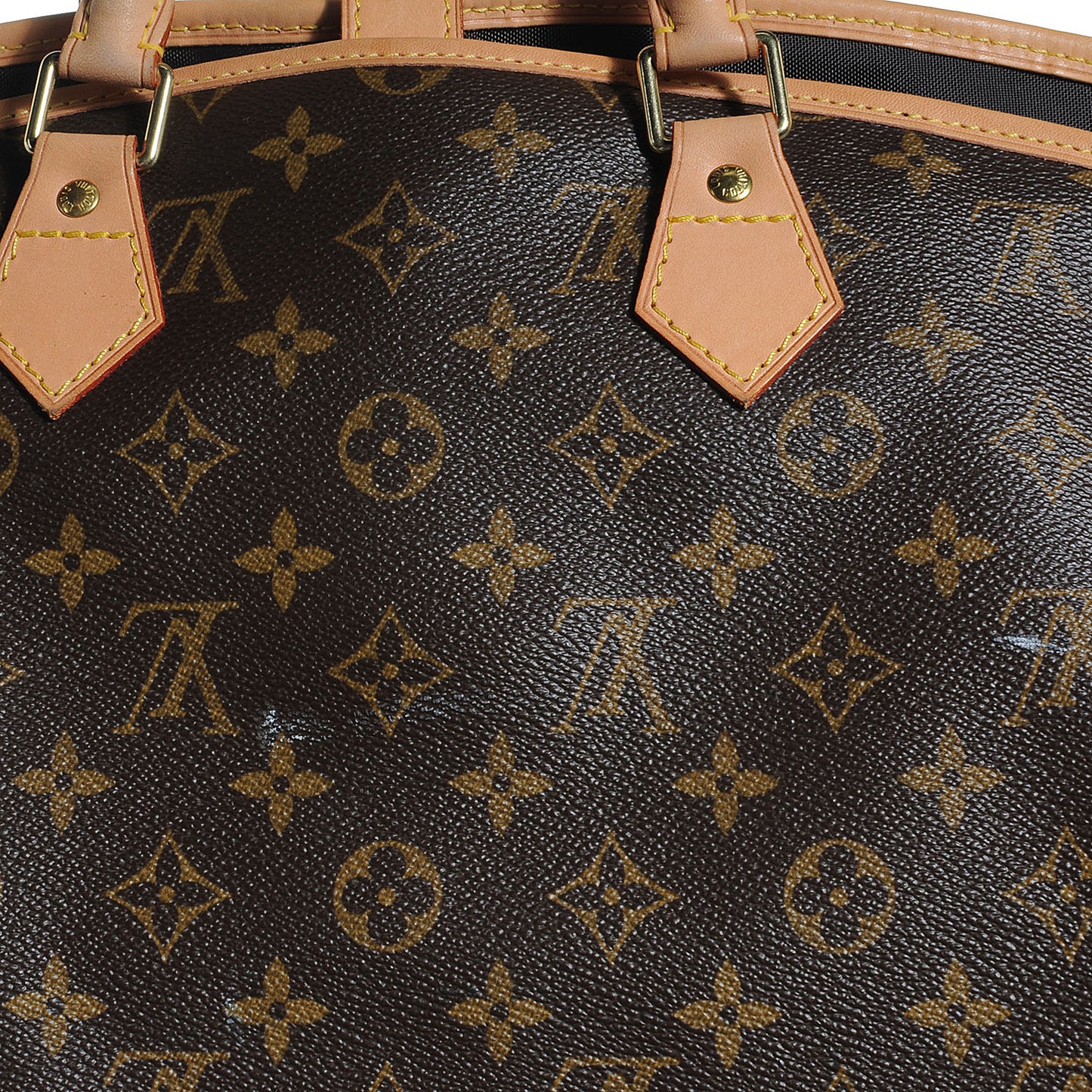 Monogram Garment Cover