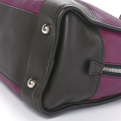 Loewe Calfskin Amazona 36 Purple 9 of 9
