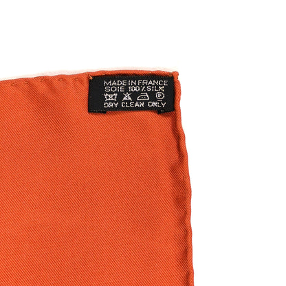 Hermes Silk Tout Cuir Scarf 90 4 of 4