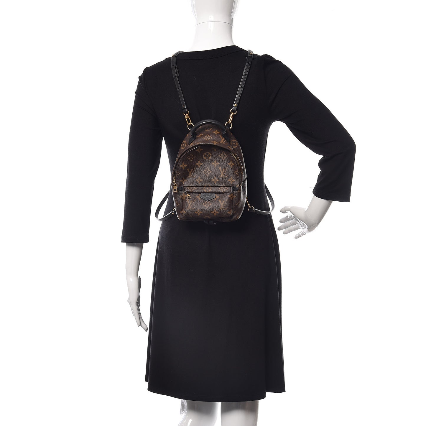 Monogram Palm Springs Backpack Mini