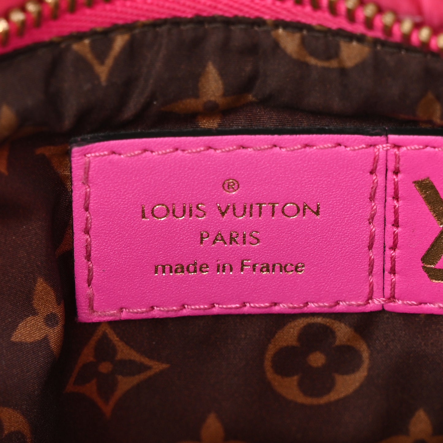 Econyl Monogram Pillow Maxi Multi Pochette Accessories Mini Pochette Fuchsia