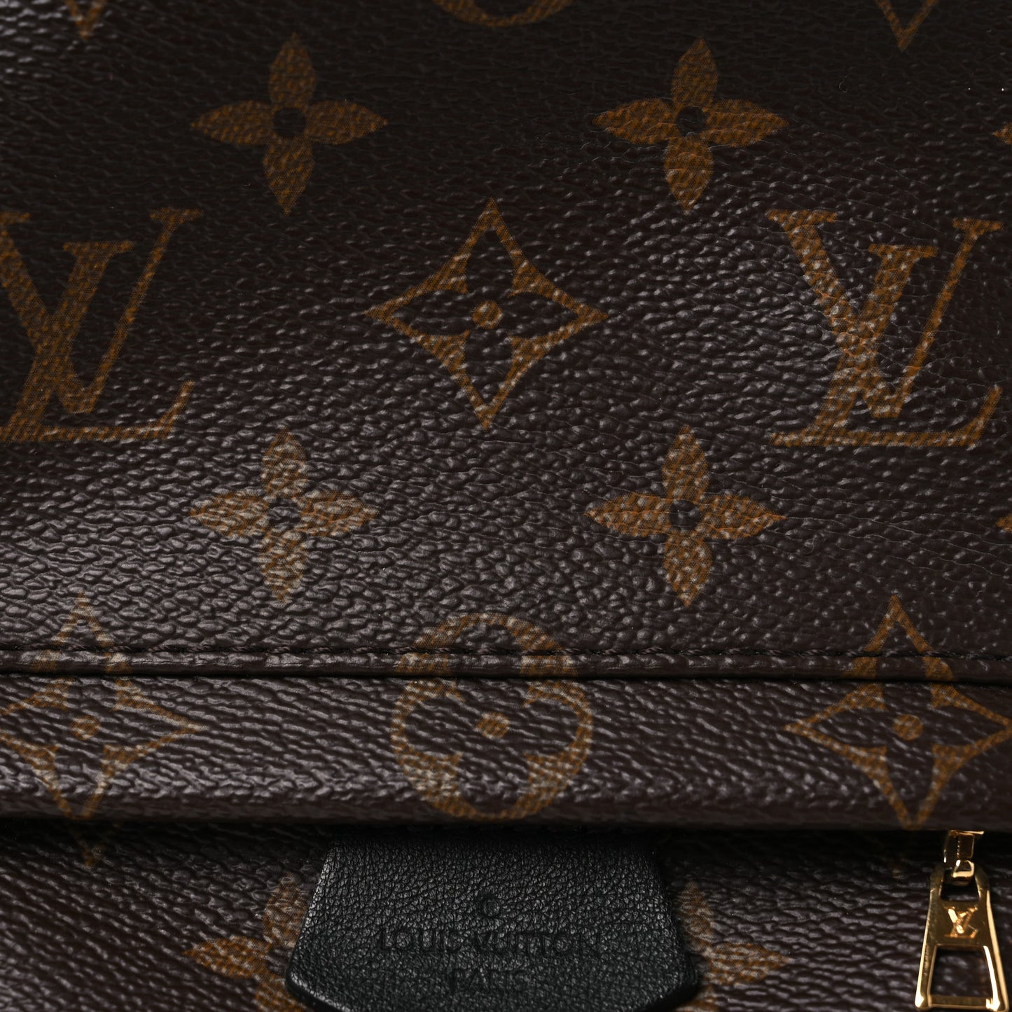 Monogram Palm Springs Backpack Mini