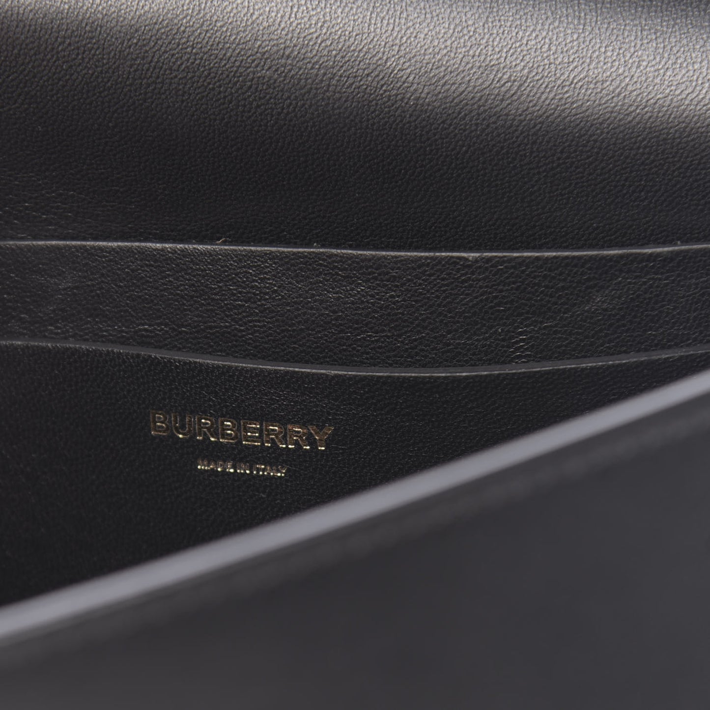 Calfskin Lizard Embossed Two Tone Small Grace Bag Black