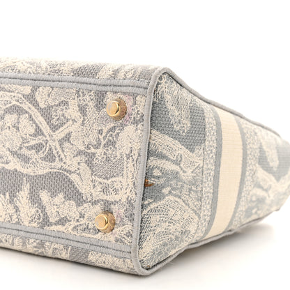 Christian Dior Canvas Toile De Jouy Reverse Embroidered Medium Lady D-Lite Gray 10 of 12