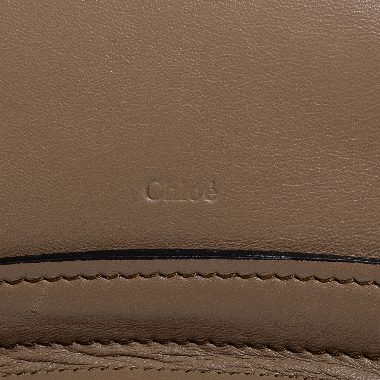 Chloe Calfskin Medium Military Paraty Ivy Jungle 9 of 10