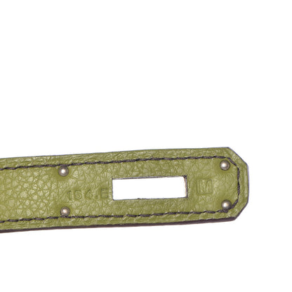 Hermes Togo Birkin 35 Vert Anis 14 of 41