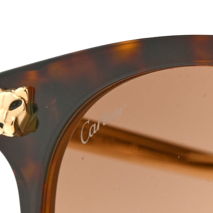Cartier Acetate Panthere De Cartier Sunglasses CT0245SK Tortoise Gold 7 of 8