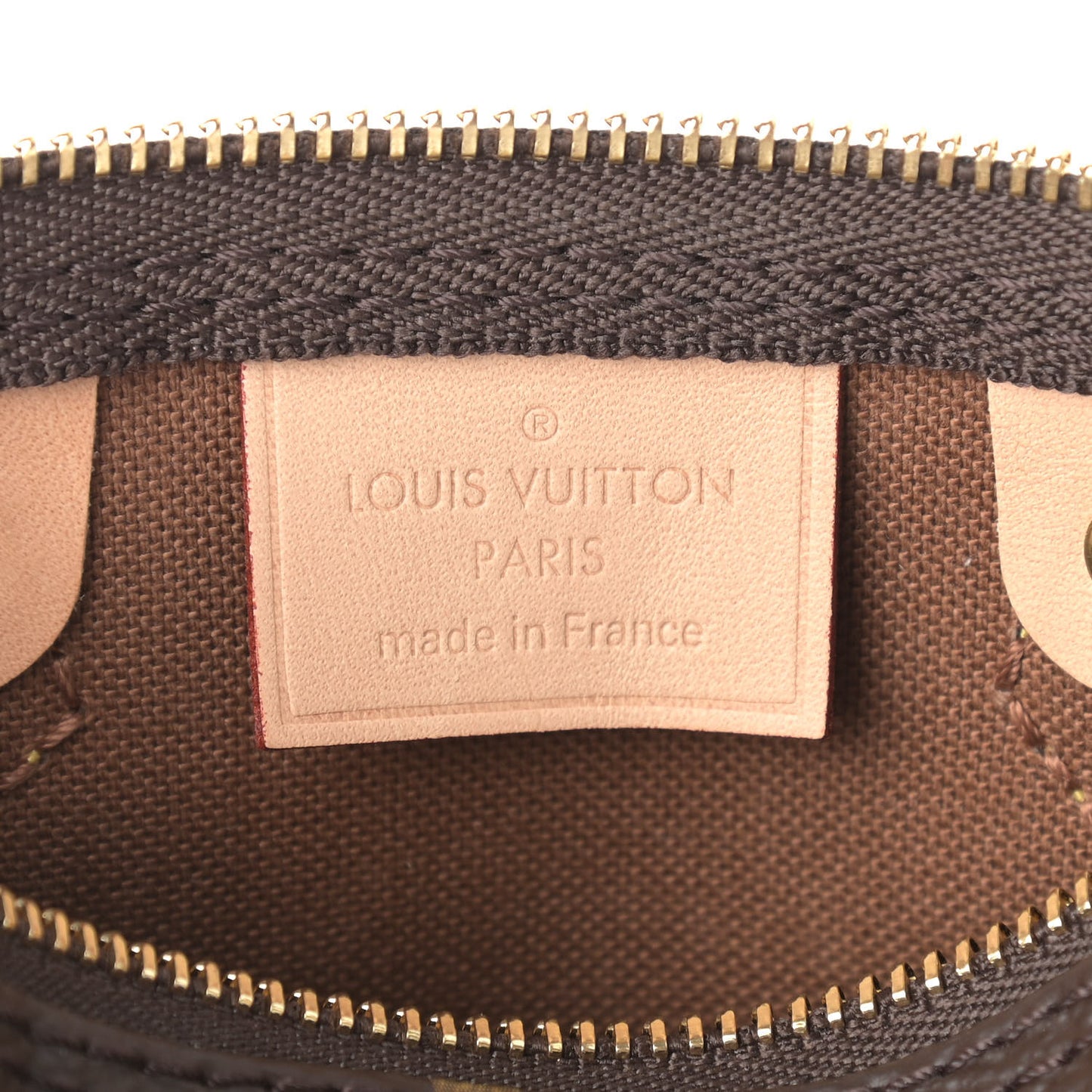 Monogram Nano Speedy