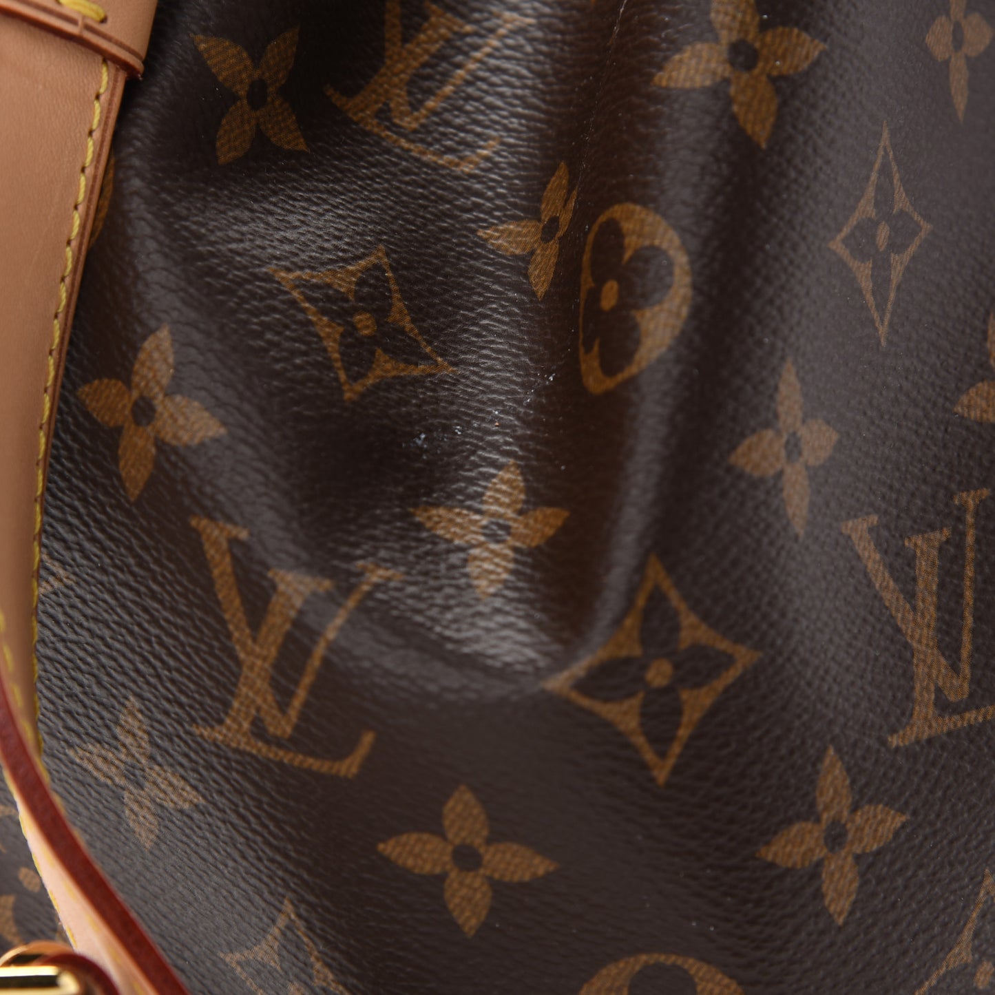 Monogram Petit Noe NM
