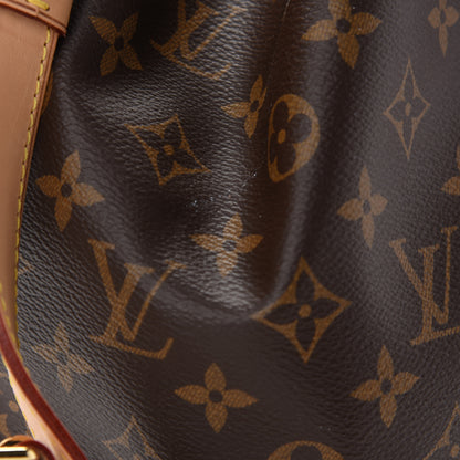 Louis Vuitton Monogram Petit Noe NM 12 of 14