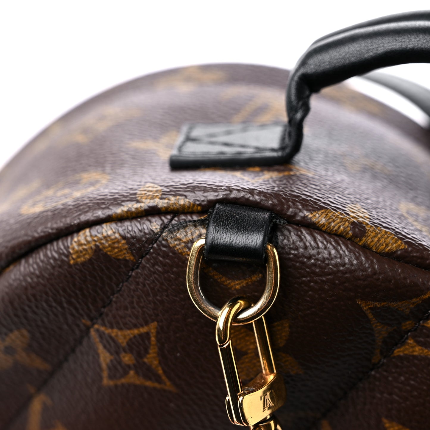 Monogram Palm Springs Backpack Mini