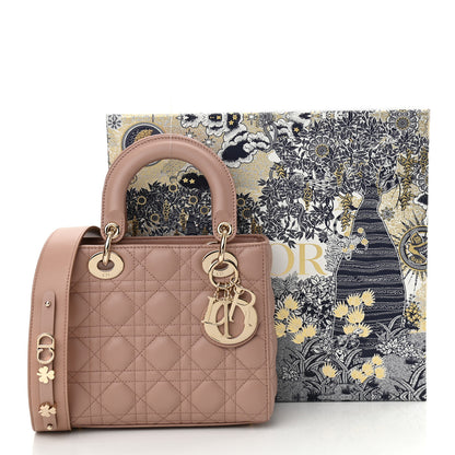 Christian Dior Lambskin Cannage Small My ABCDior Fard 11 of 11