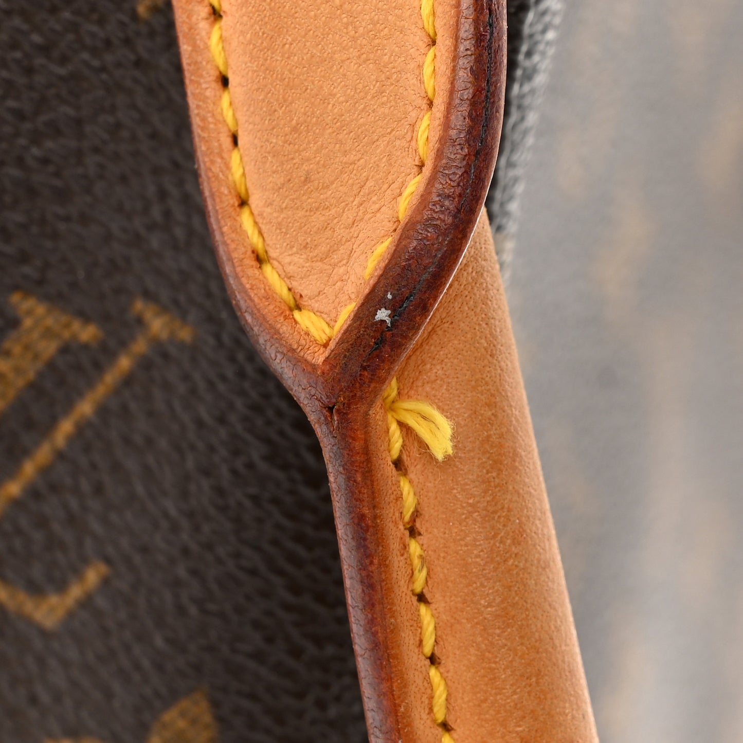 Monogram Looping MM