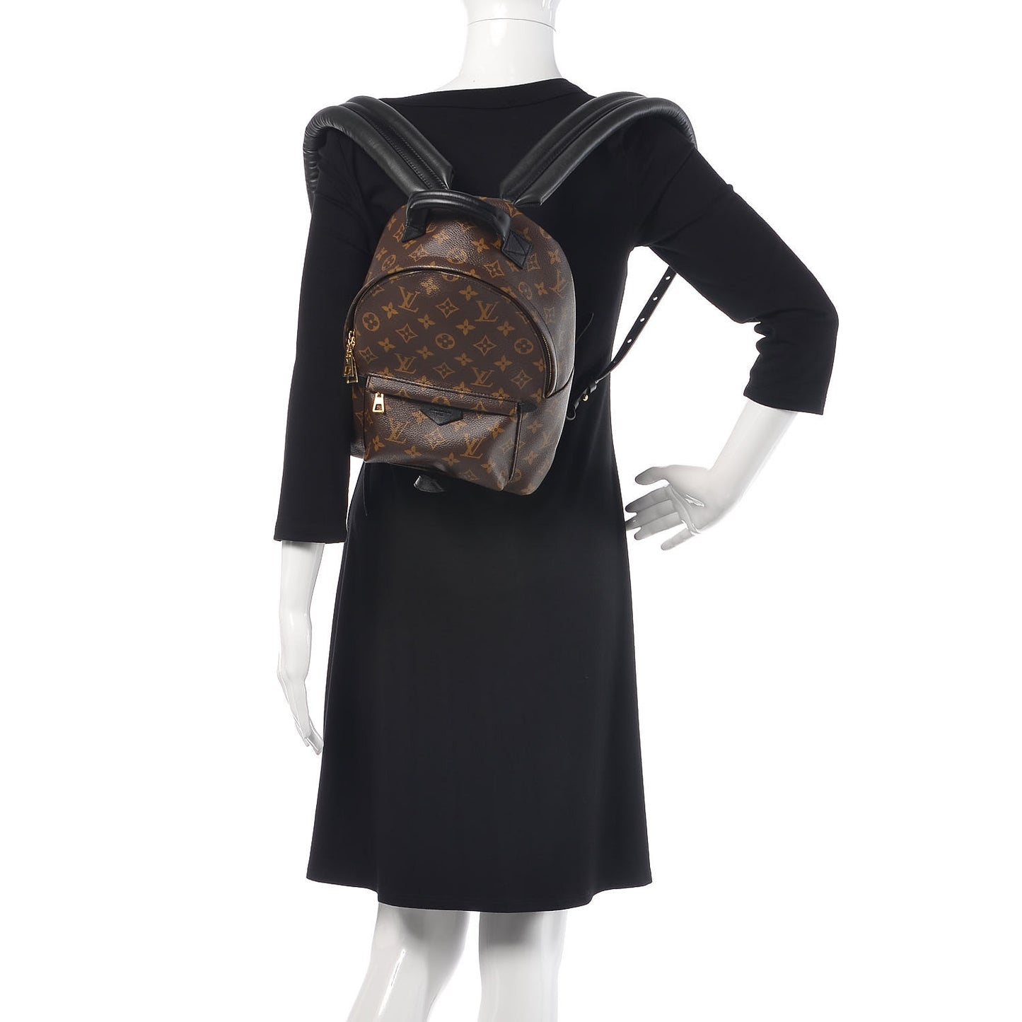 Monogram Palm Springs Backpack PM