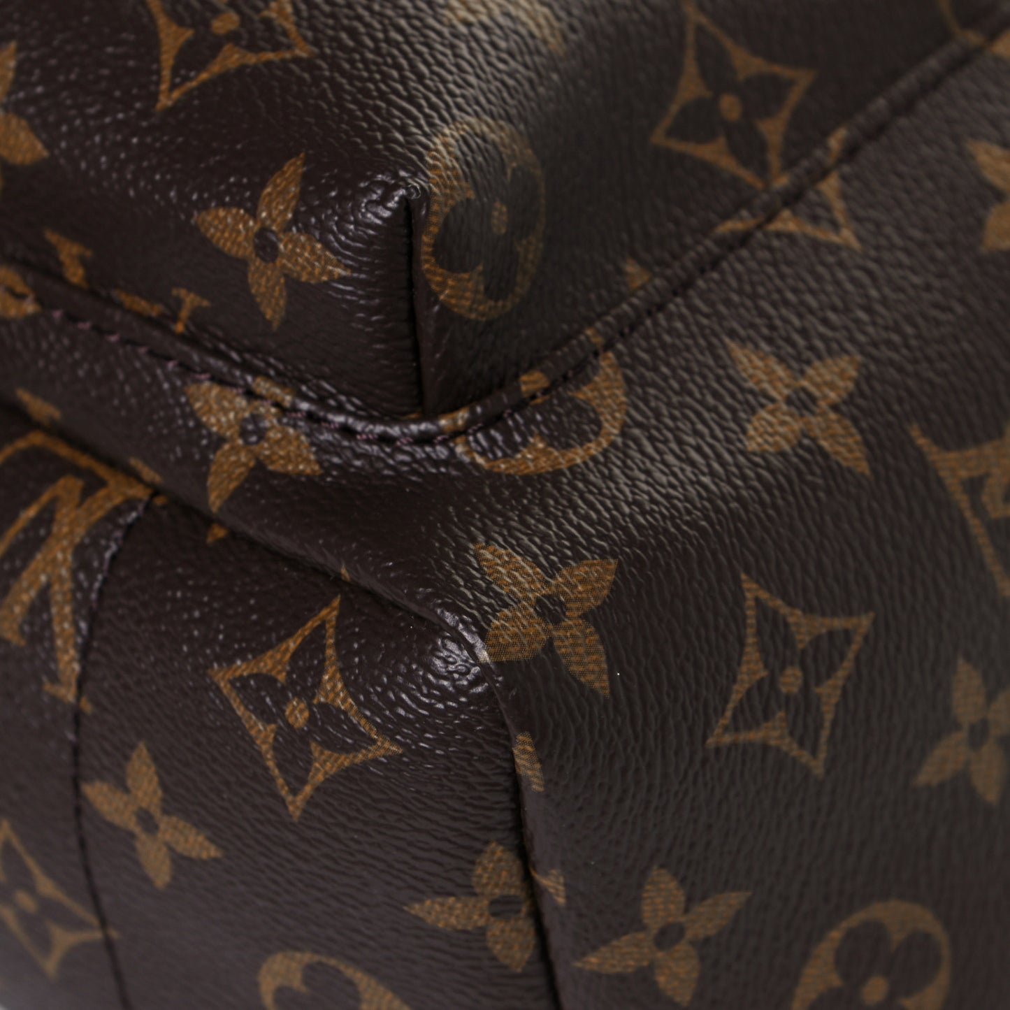 Monogram Palm Springs Backpack PM