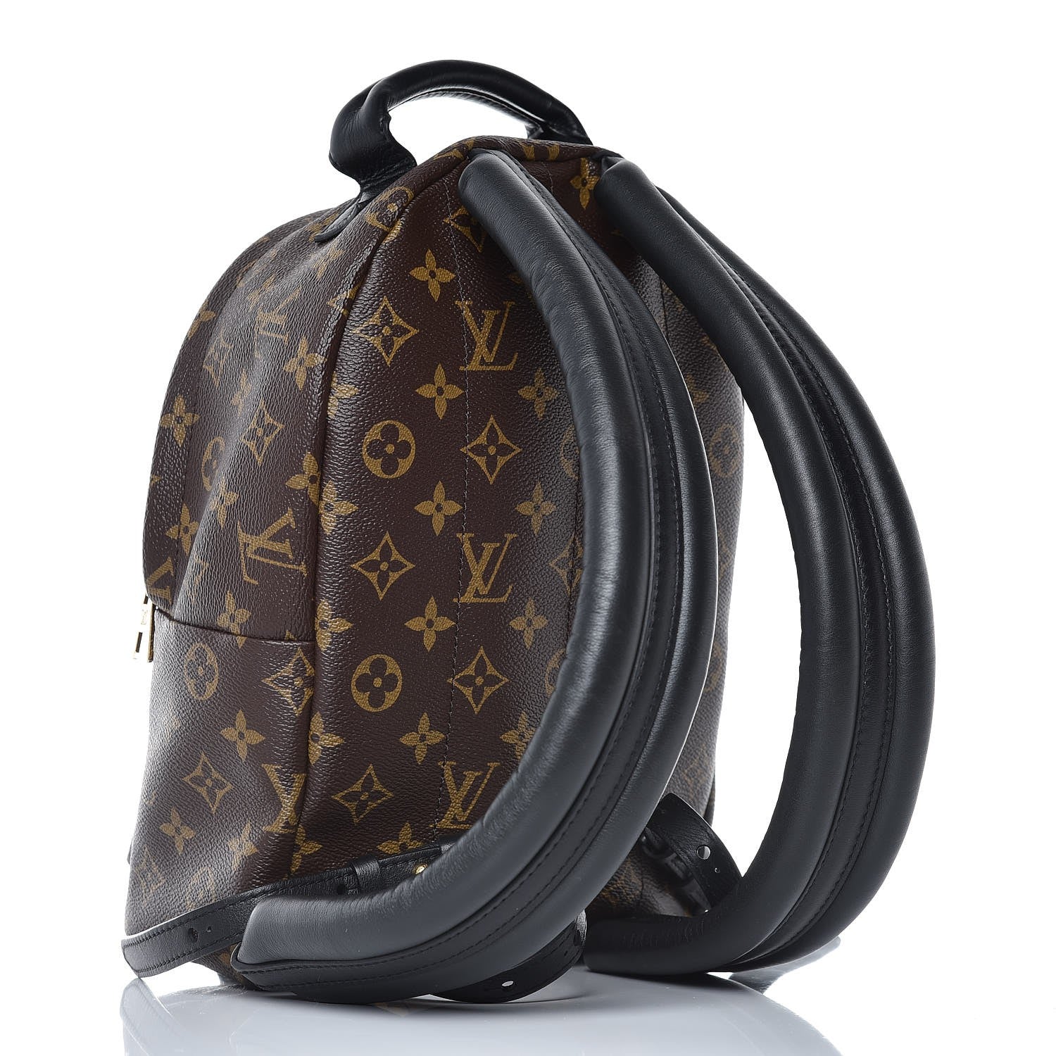Louis Vuitton Monogram Palm Springs Backpack PM 3 of 8