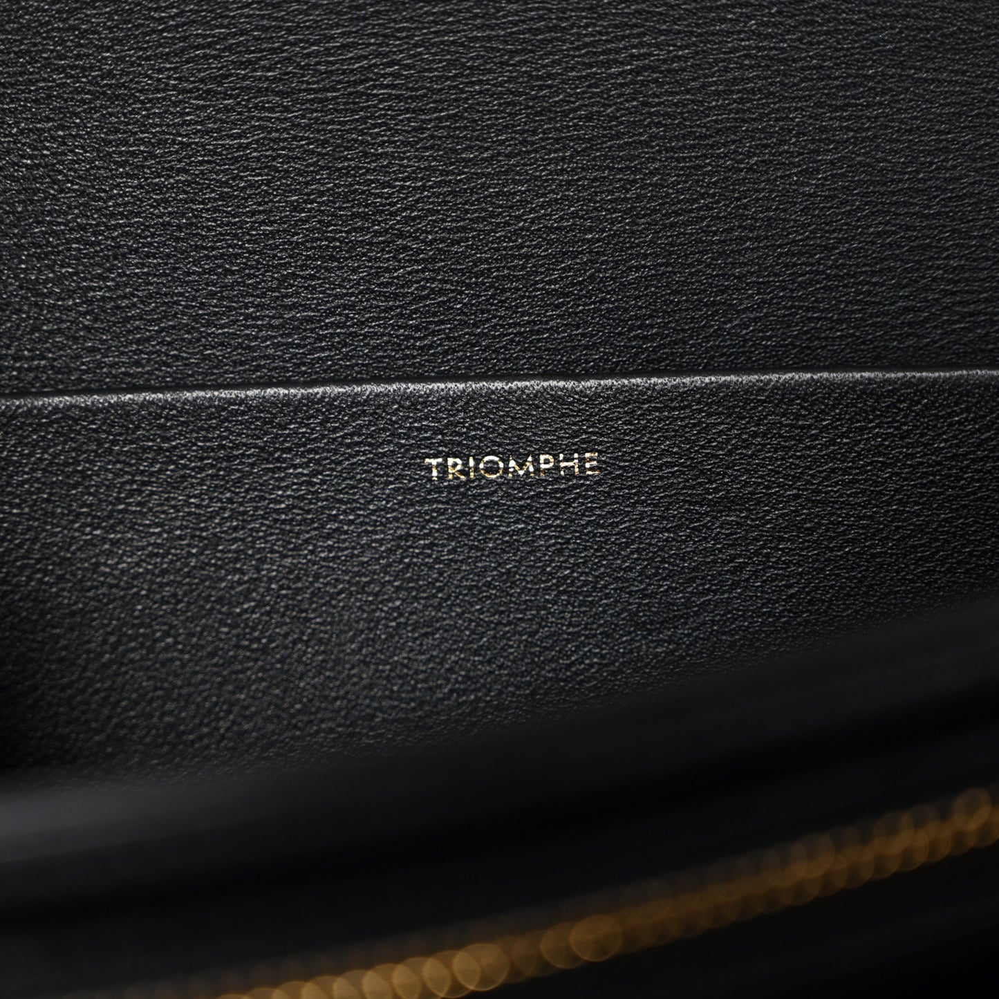 Shiny Calfskin Medium Triomphe Black