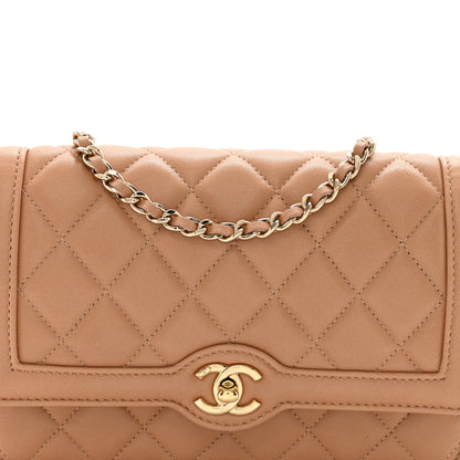 Chanel Lambskin Quilted Hold The Line Wallet On Chain WOC Dark Beige 9 of 11